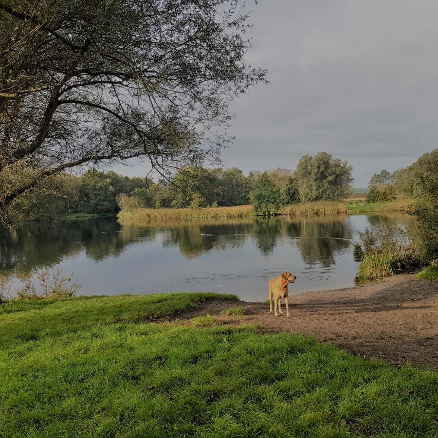 In De Bocht Villa Heiloo Luaran gambar